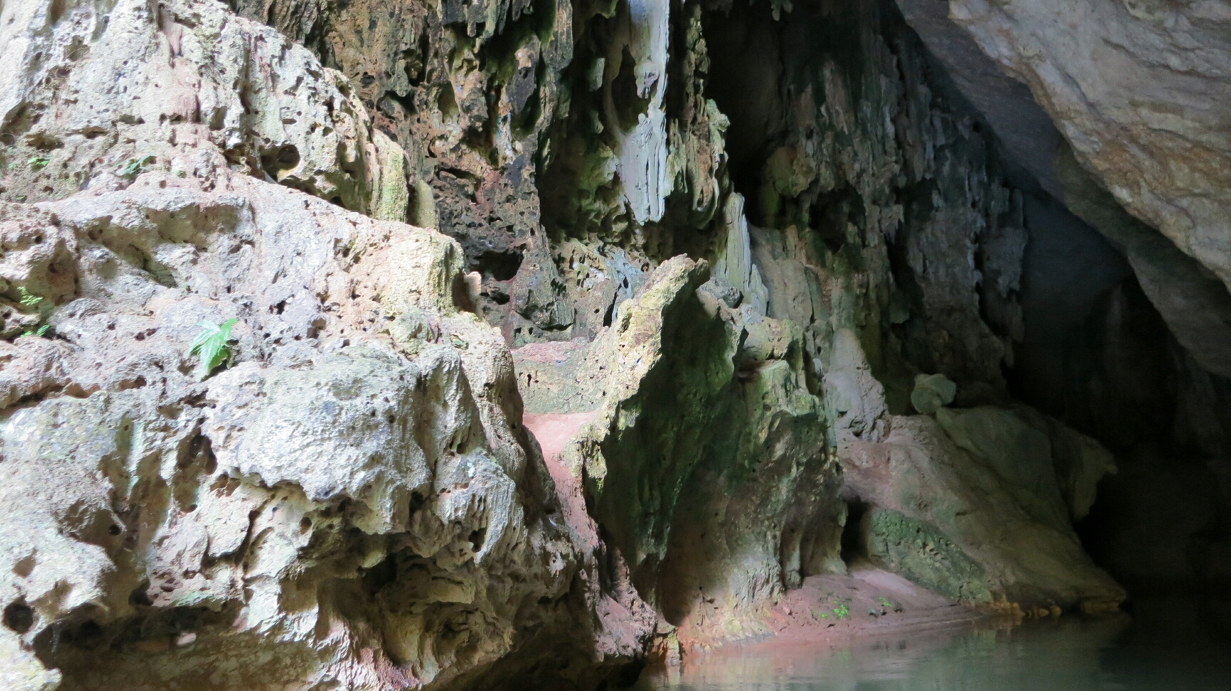 Click to See Next Image