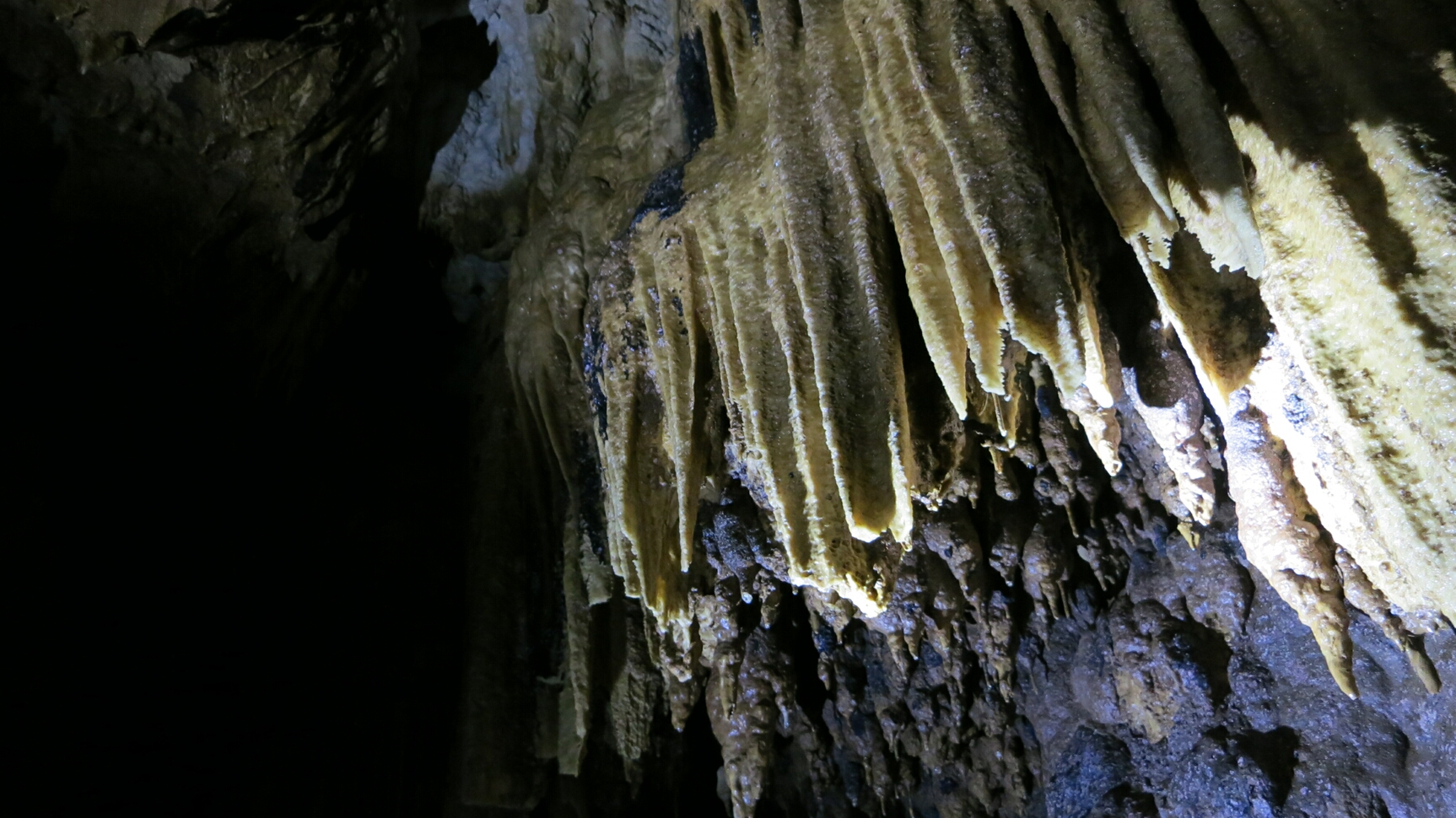 Click to See Next Image