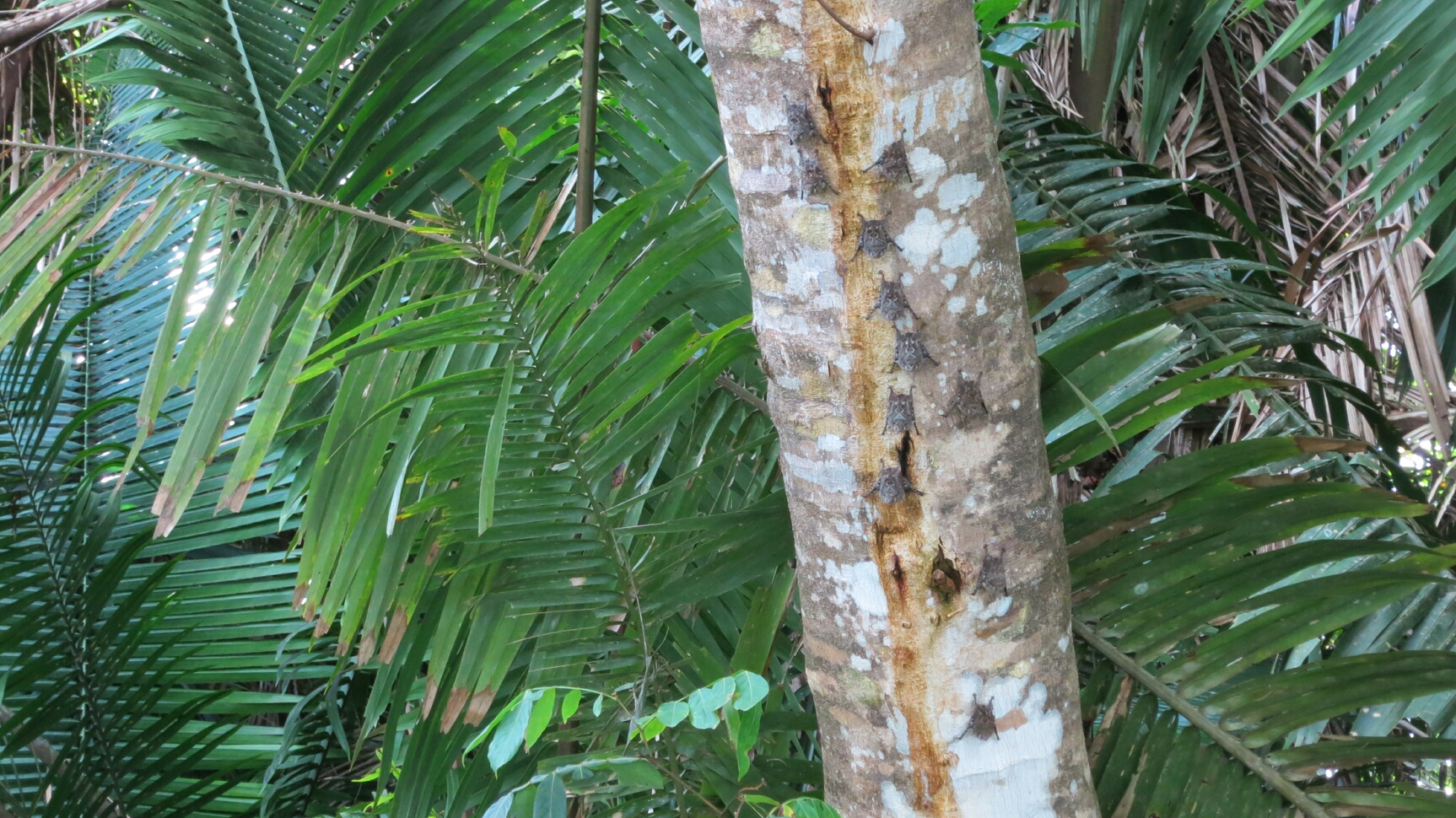 Click to See Next Image