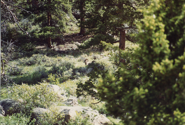 File0022
